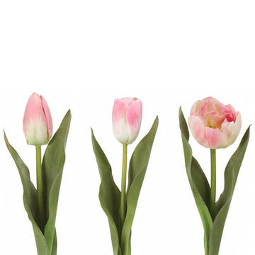 PINK TULIP MIX