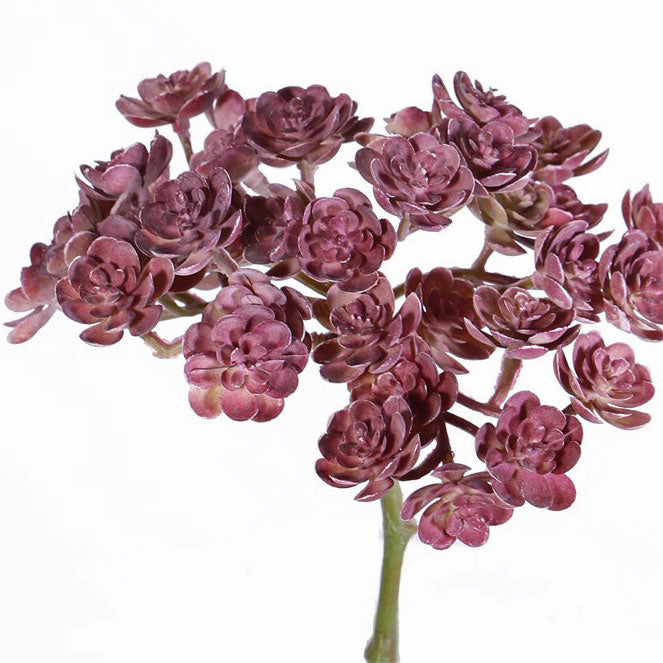 FAUX ECHEVERIA | BURGUNDY