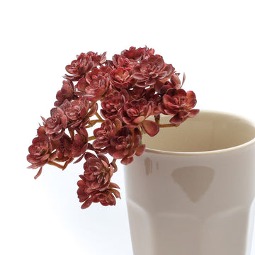 FAUX ECHEVERIA | BURGUNDY