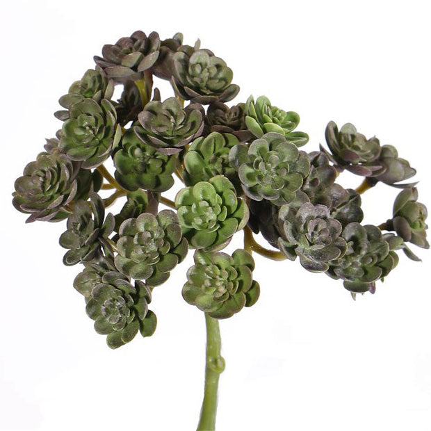 FAUX ECHEVERIA - 3 VARIETIES