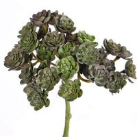 FAUX ECHEVERIA - 3 VARIETIES
