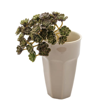 FAUX ECHEVERIA - 3 VARIETIES
