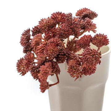 FAUX SEDUM | 3 VARIETIES