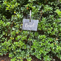 GARDEN HANGING SCOTTISH SLATE RECTANGULAR PLANT LABELS | SMALL SET 4