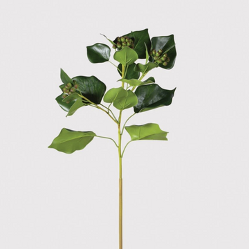 IVY STEM WITH SEEDHEADS