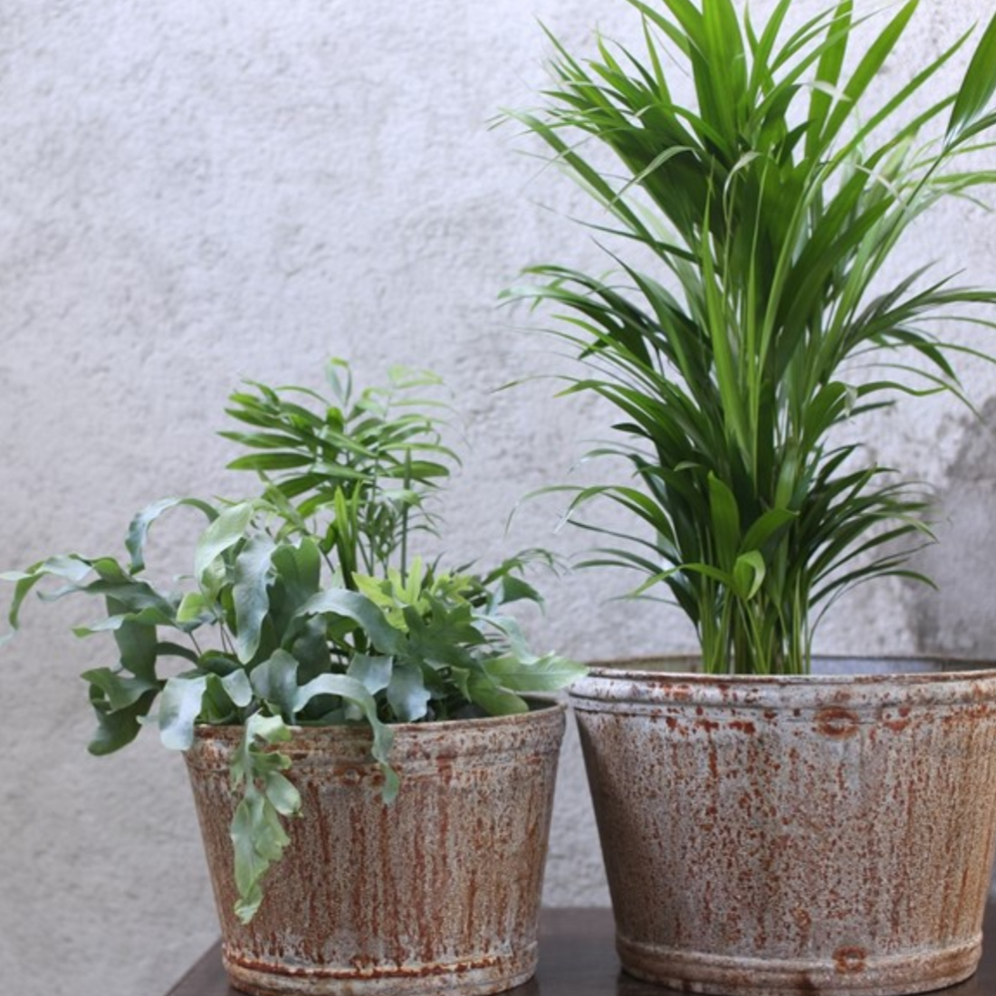 ABARI ZINC POT