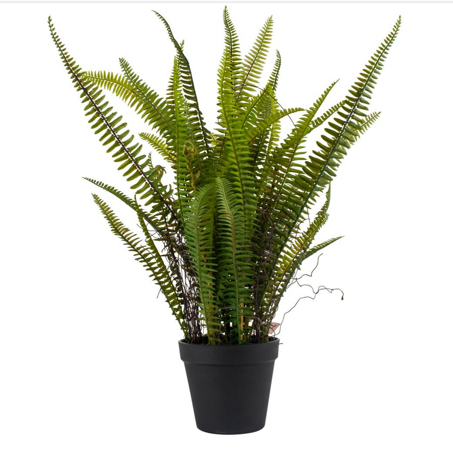FAUX BOSTON LEAF IN POT
