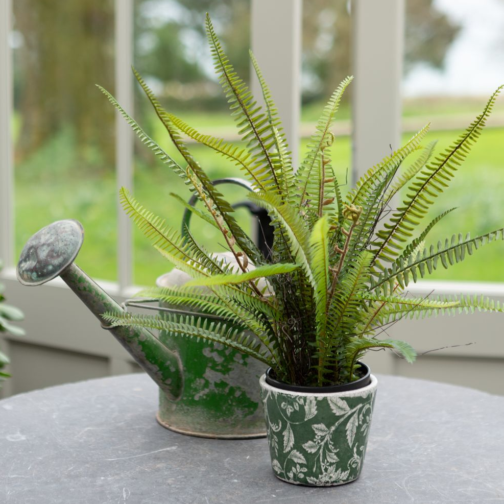 FAUX BOSTON LEAF IN POT