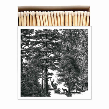 MATCHES | ENCHANTED FOREST