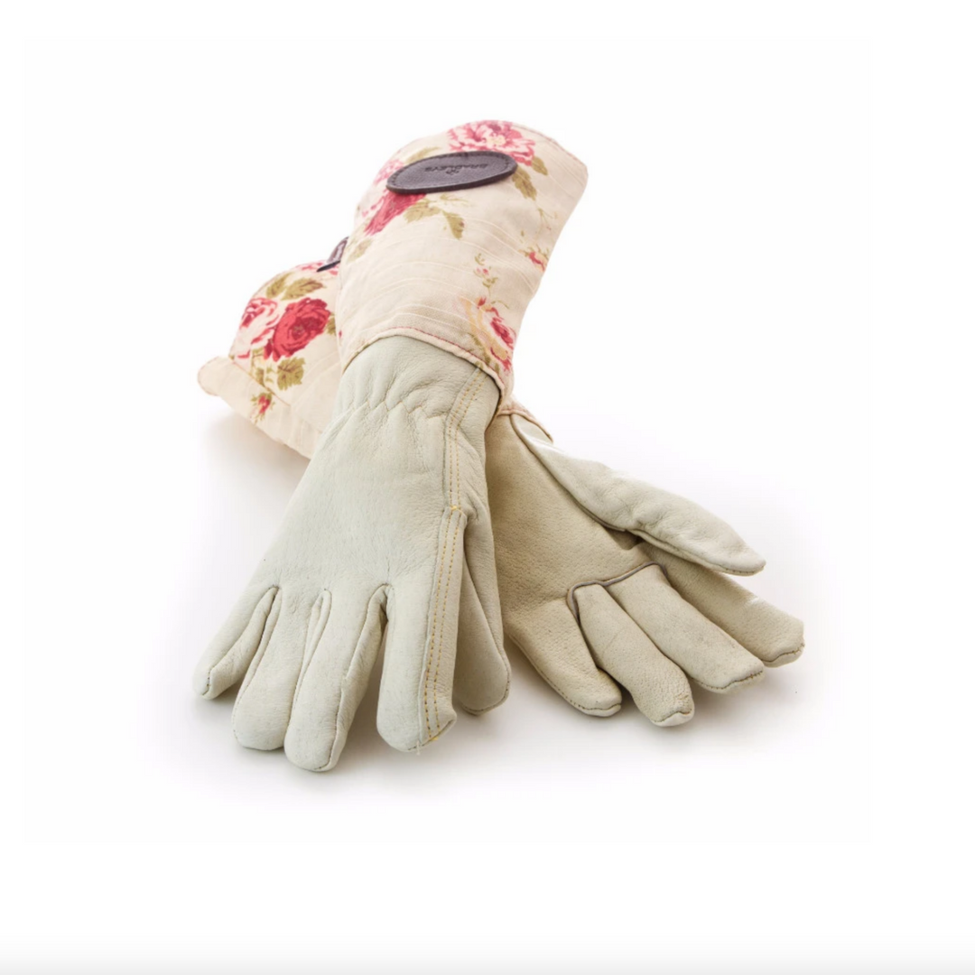 English gloves outlet