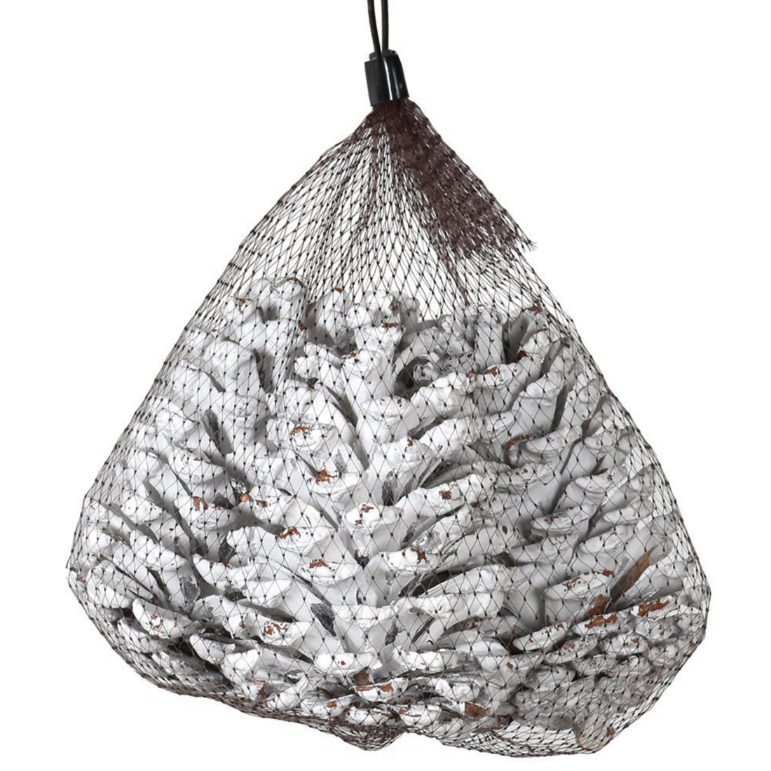 BAG OF WHITE PINE CONES