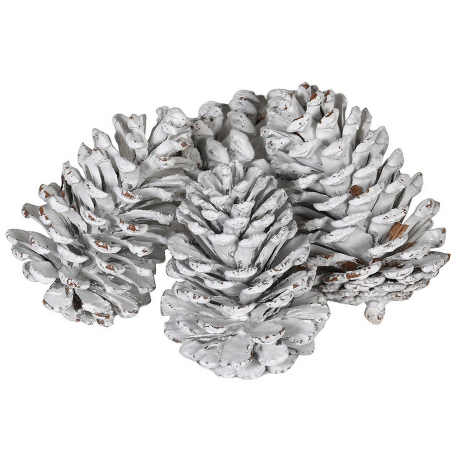 BAG OF WHITE PINE CONES