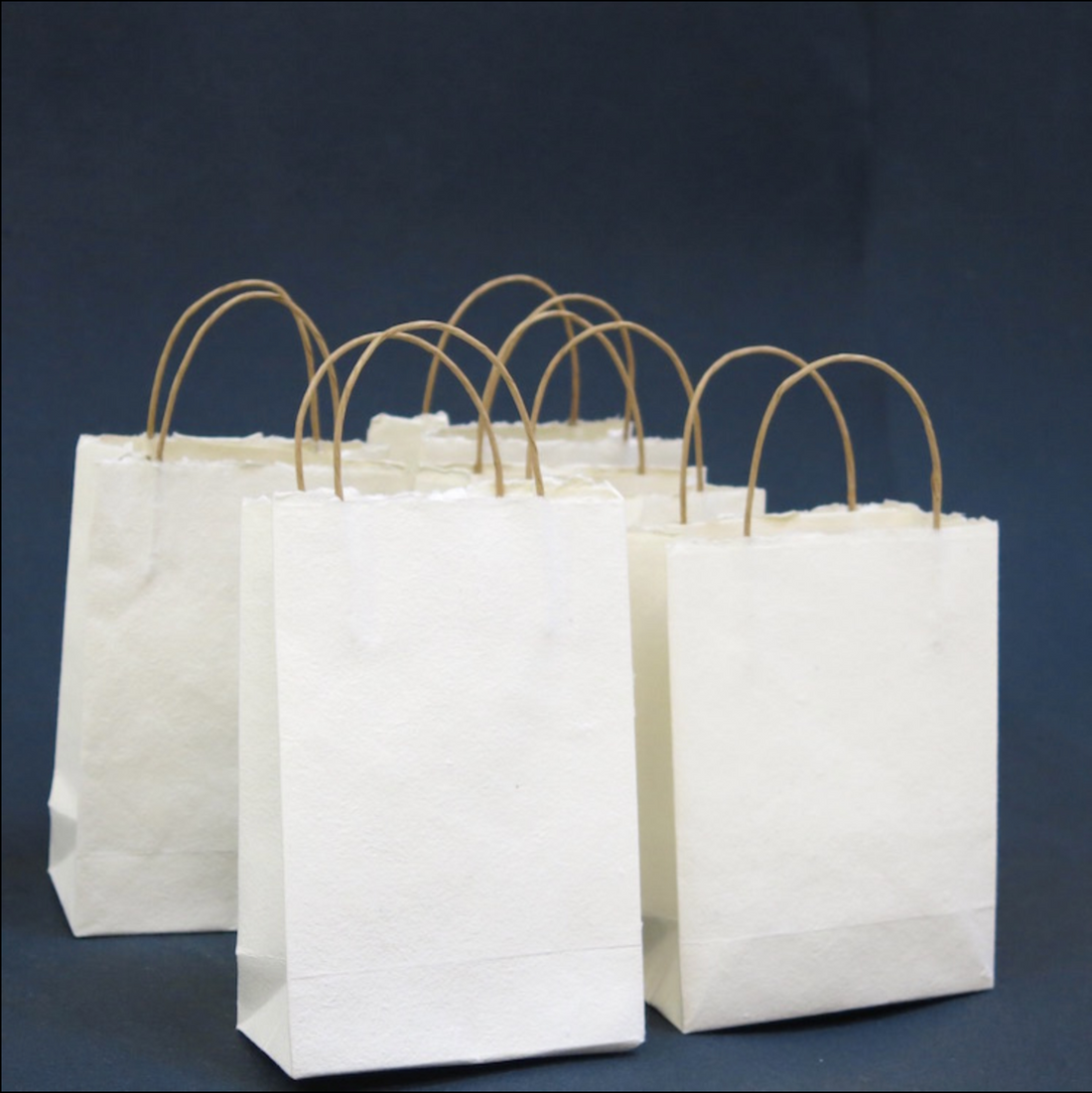 HANDMADE WHITE KHADI PAPER GIFT BAG