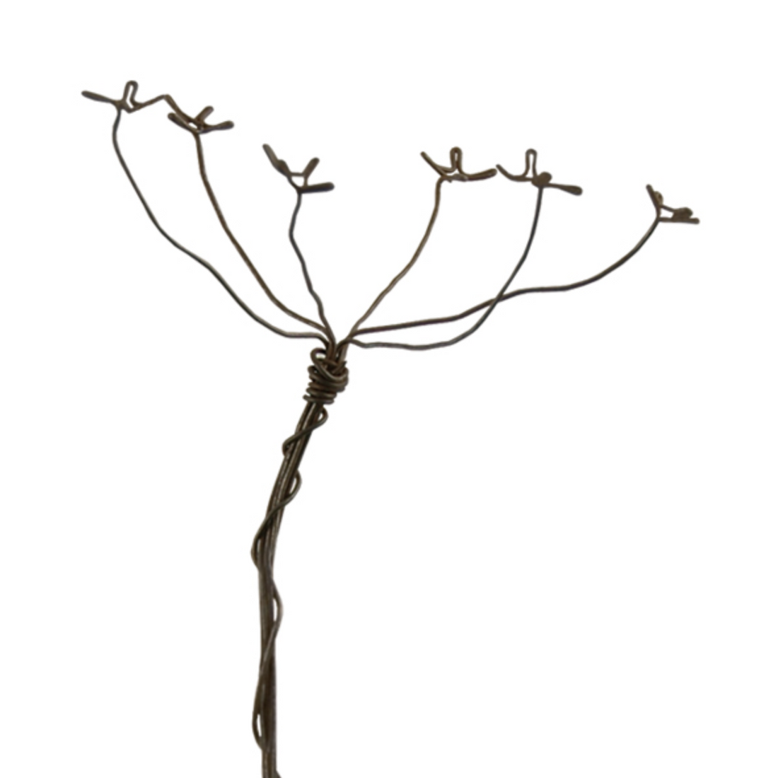RUSTY WIRE COW PARSLEY