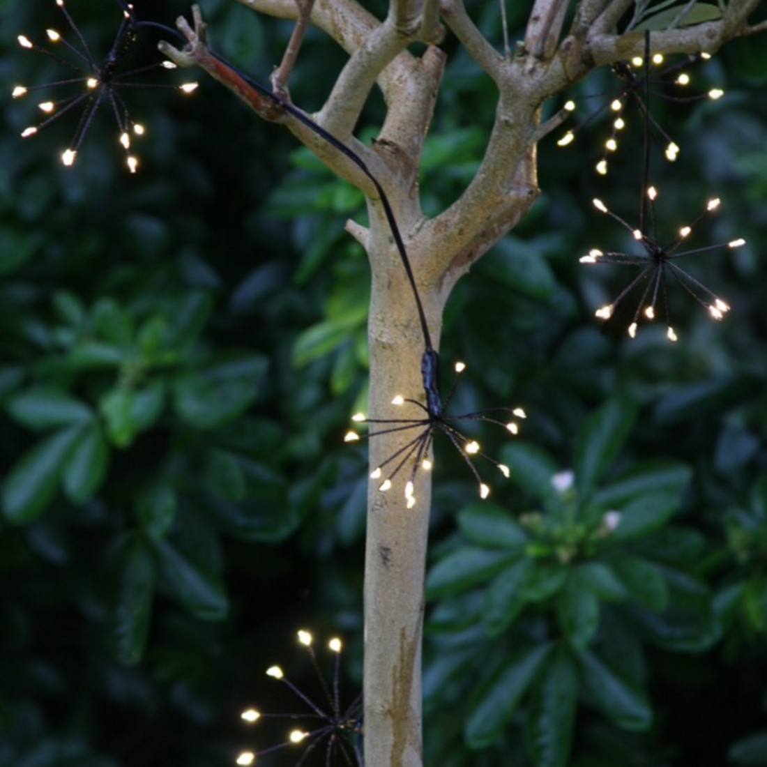 STARBURST CHAIN INDOOR|OUTDOOR LIGHTS 3M | MAINS