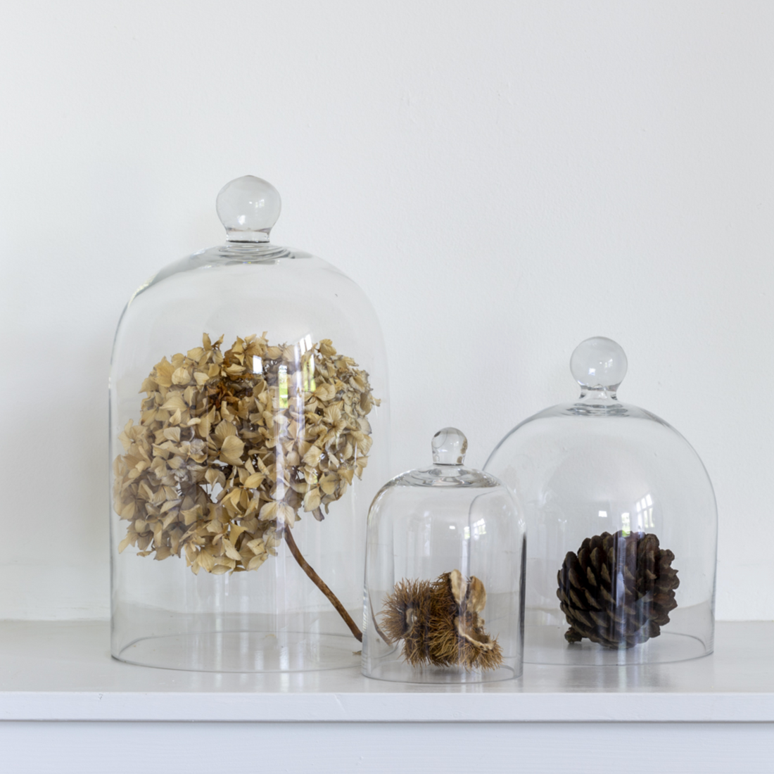 EX DISPLAY GLASS DOME | XSMALL WITH SMALL CHIP