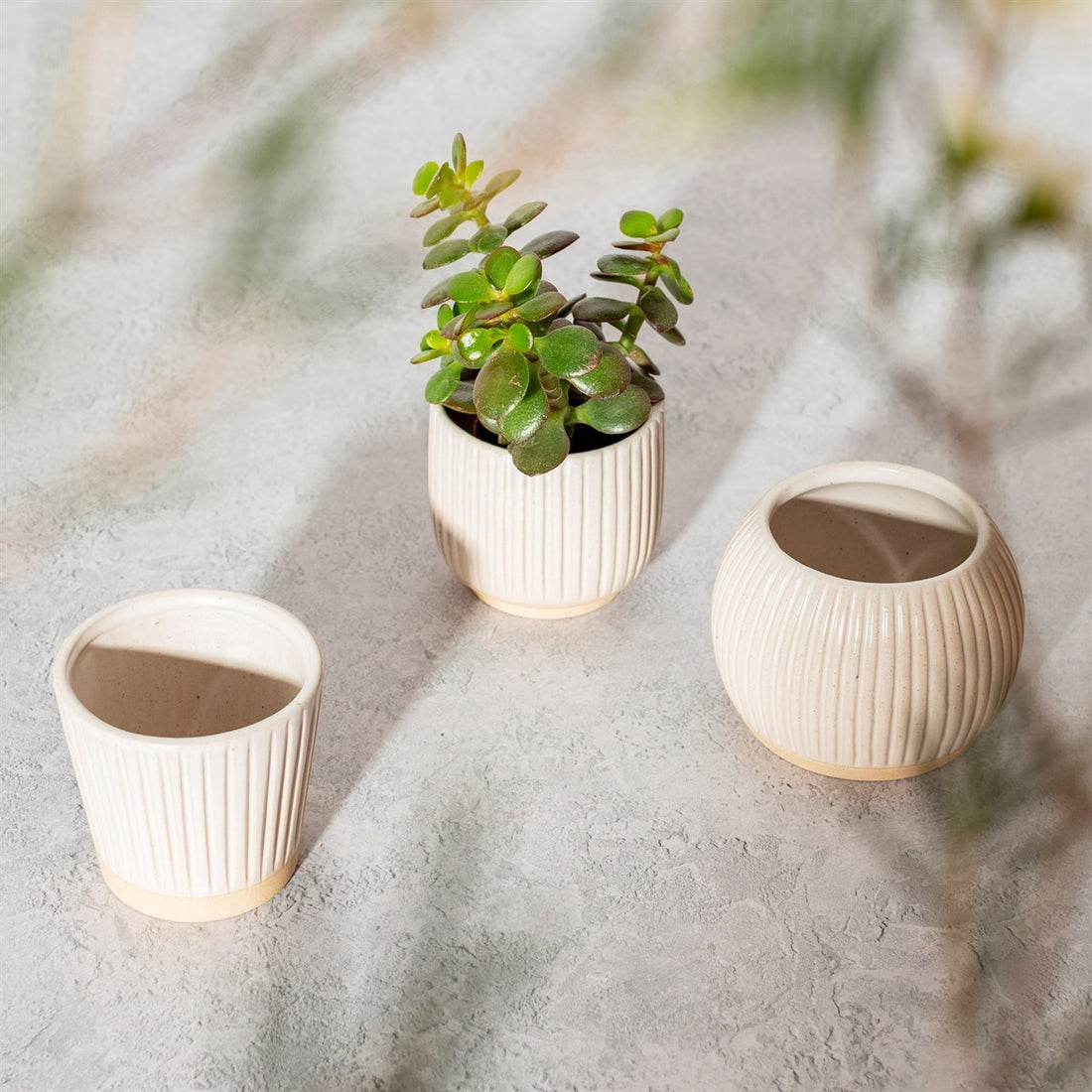 SMALL GROOVED STONEWARE PLANTERS | 3 DESIGNS OFF WHITE