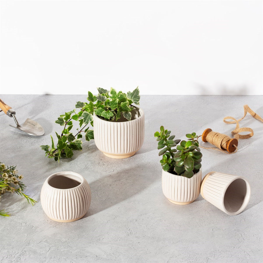SMALL GROOVED STONEWARE PLANTERS | 3 DESIGNS OFF WHITE