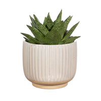 GROOVED STONEWARE PLANTER | OFF WHITE