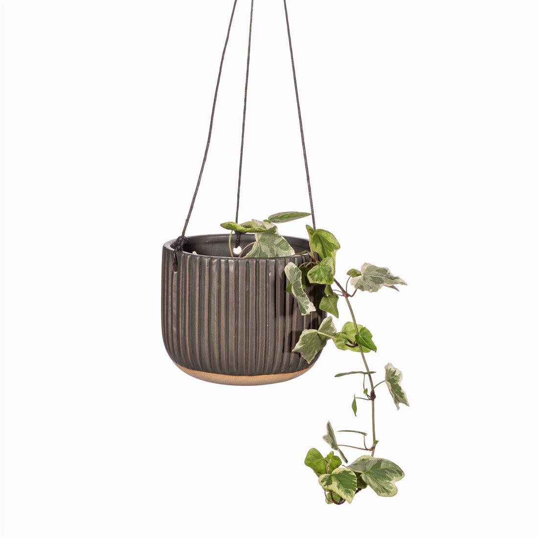 GROOVED STONEWARE HANGING PLANTER | BLACK