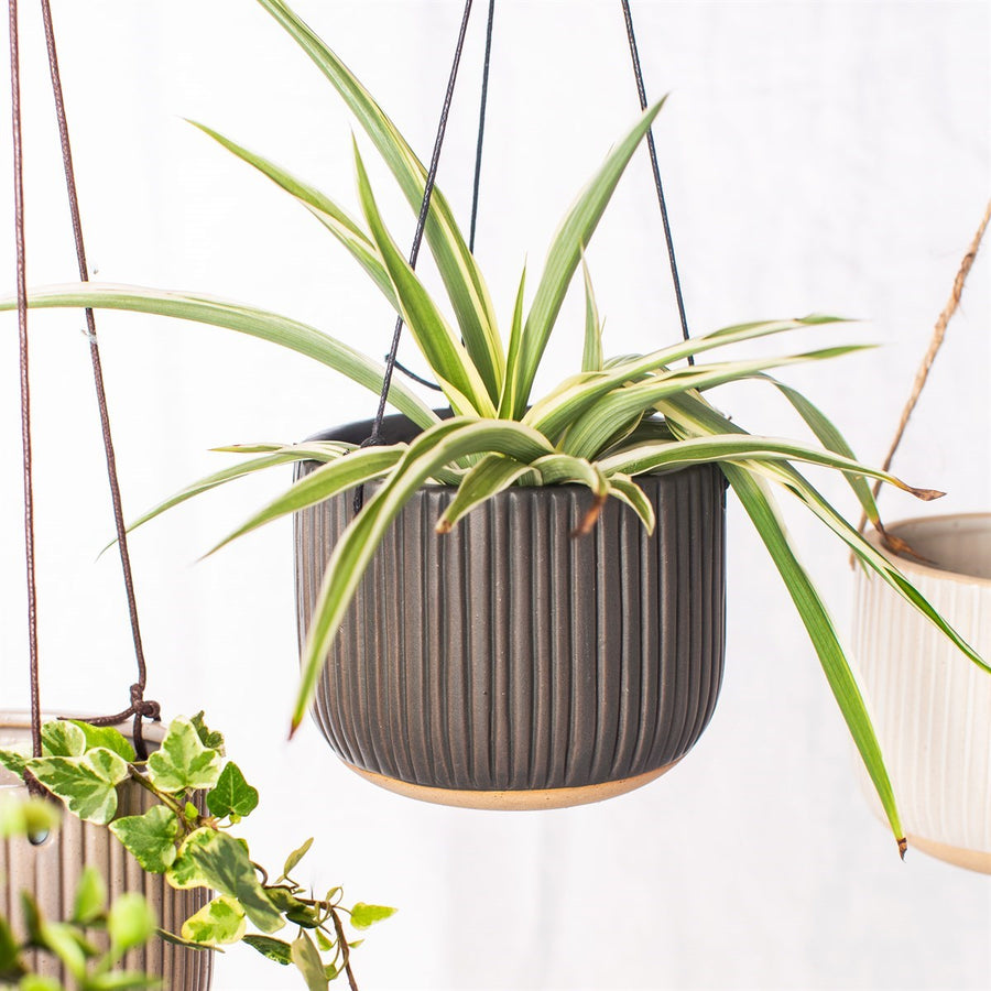 GROOVED STONEWARE HANGING PLANTER | BLACK