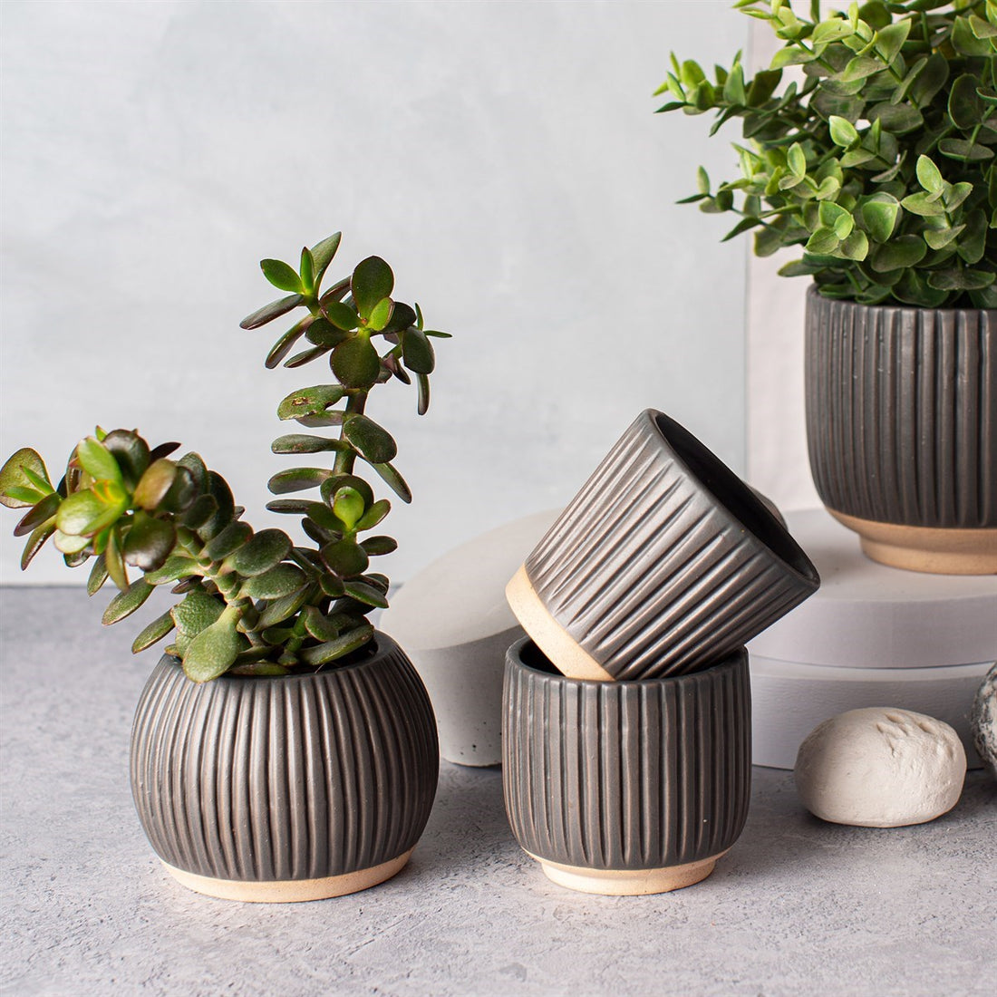 SMALL GROOVED STONEWARE PLANTERS | 3 DESIGNS BLACK