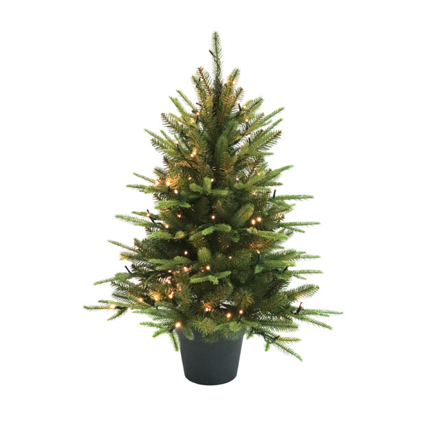 ENGLISH PINE 3' POTTED LED