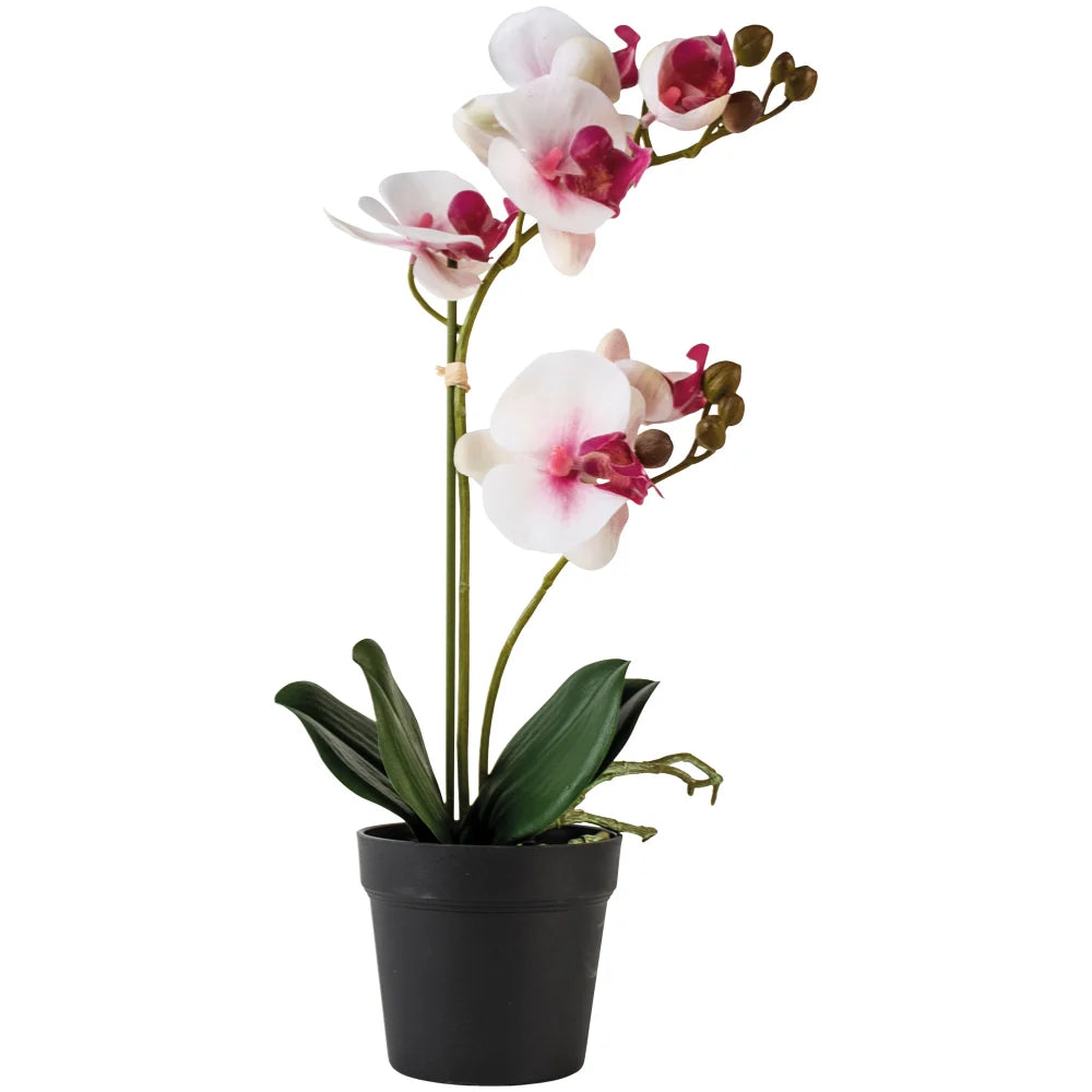 FAUX ORCHID IN A POT | WHITE WITH PINK FLUSH