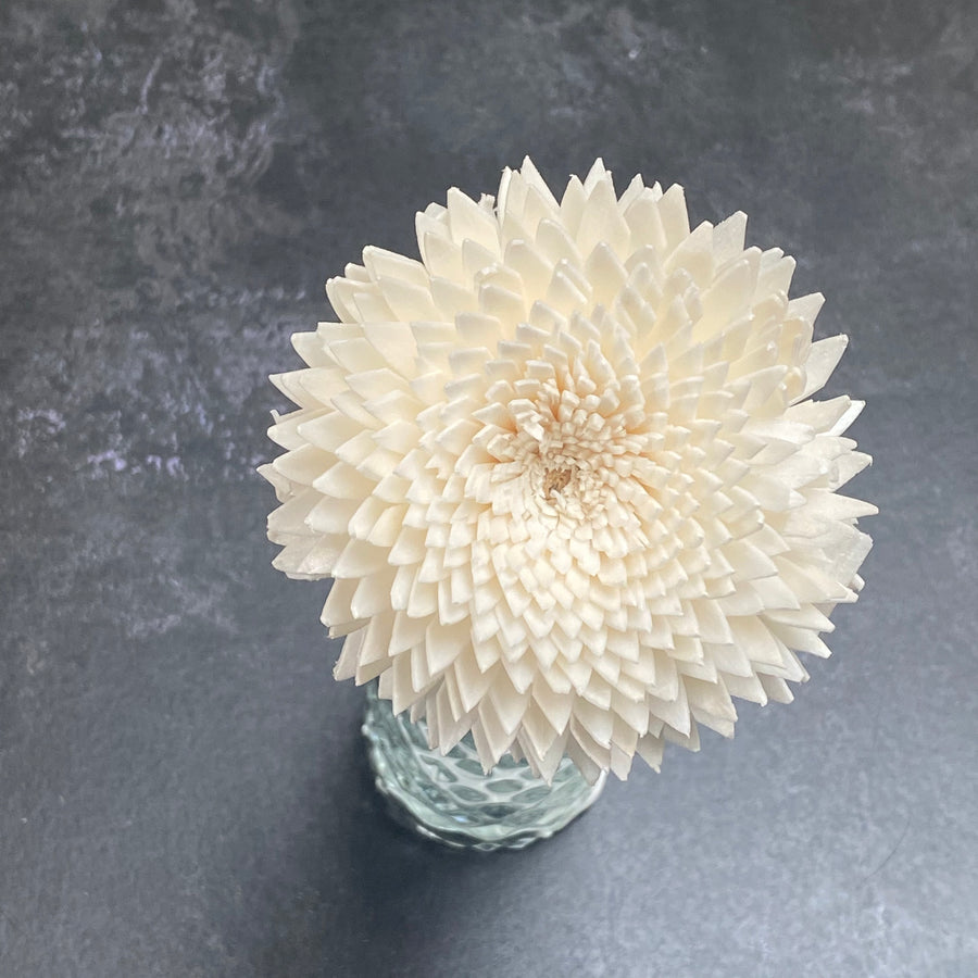 DIFFUSER FLOWERS | MEDIUM 8cm