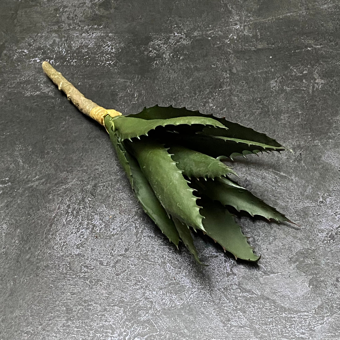 FAUX ALOE STEM