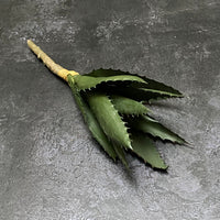 FAUX ALOE STEM