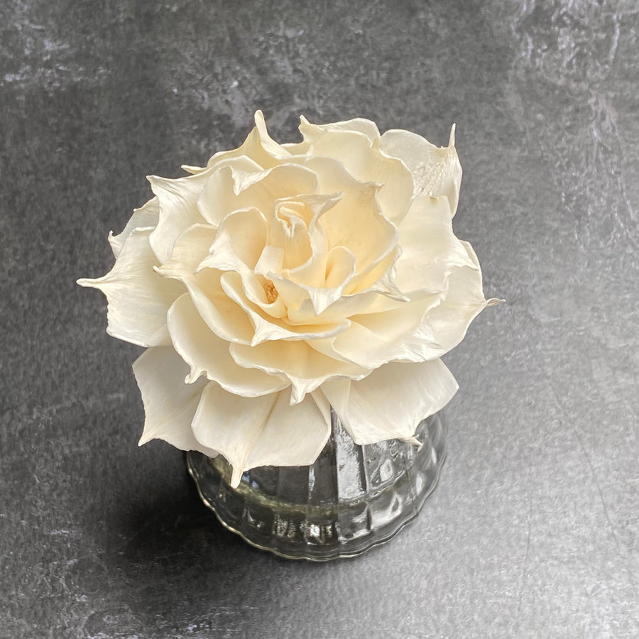 DIFFUSER FLOWERS | MEDIUM 8cm