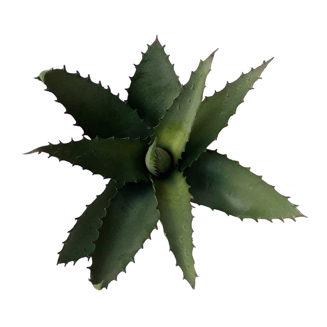 FAUX ALOE STEM