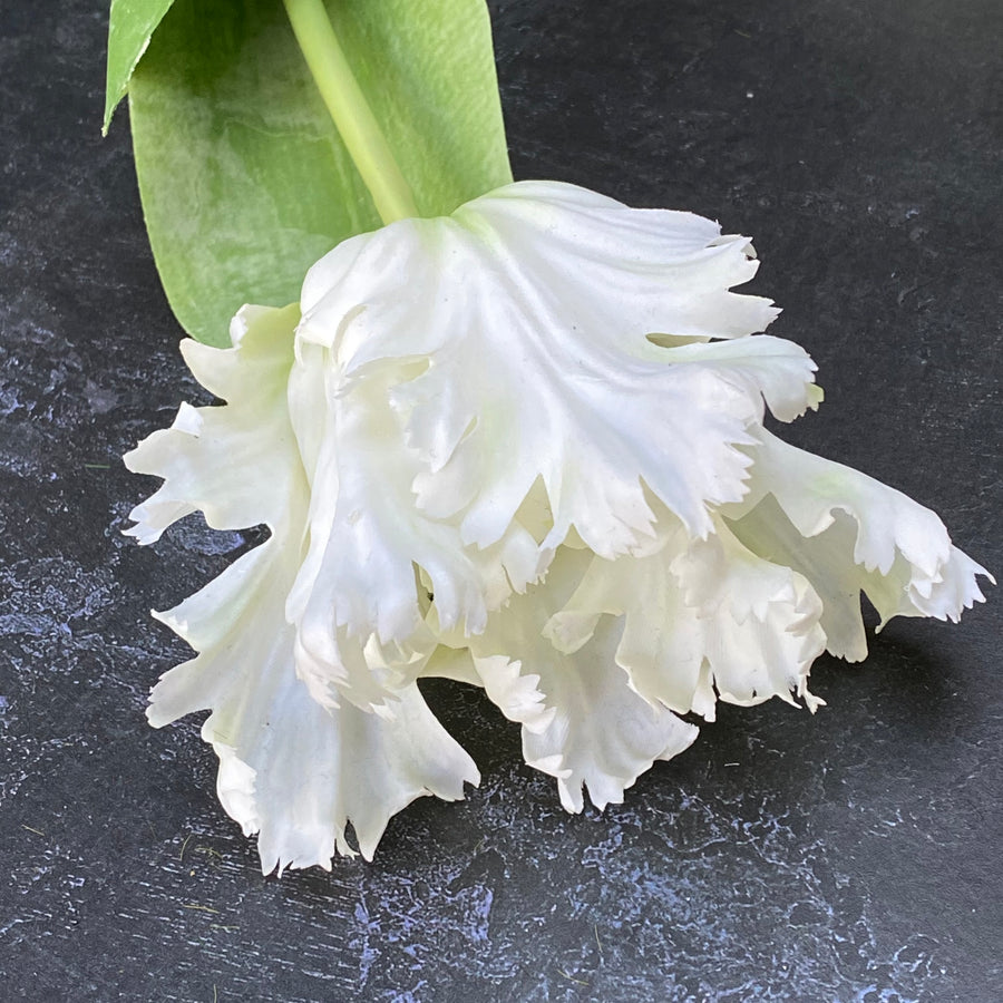 FAUX PARROT TULIP