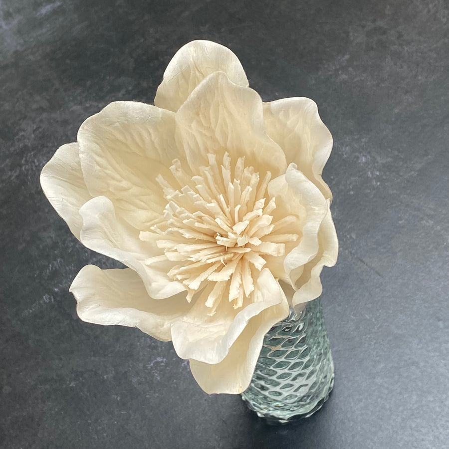 DIFFUSER FLOWERS | MEDIUM 8cm