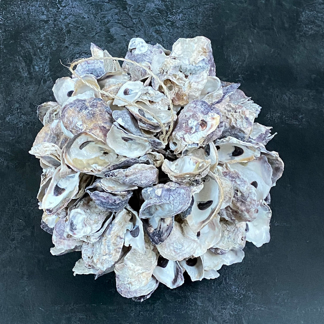 DECORATIVE OYSTER BALL