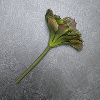 FAUX SUCCULENT STEM