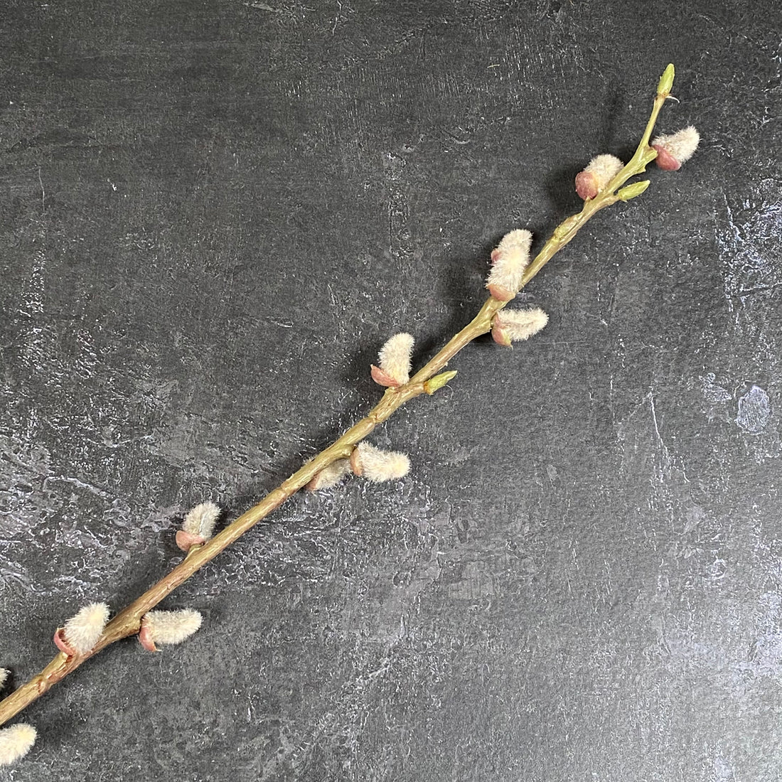 FAUX PUSSY WILLOW TALL SINGLE