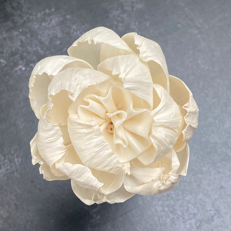 DIFFUSER FLOWERS | MEDIUM 8cm