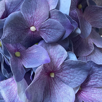 PURPLE BALL HYDRANGEA