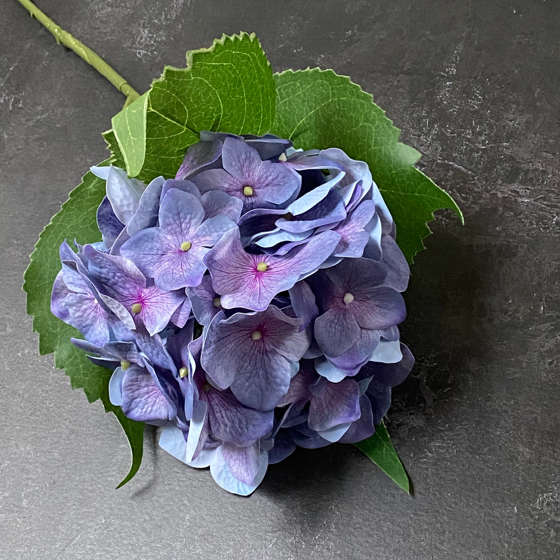 PURPLE BALL HYDRANGEA