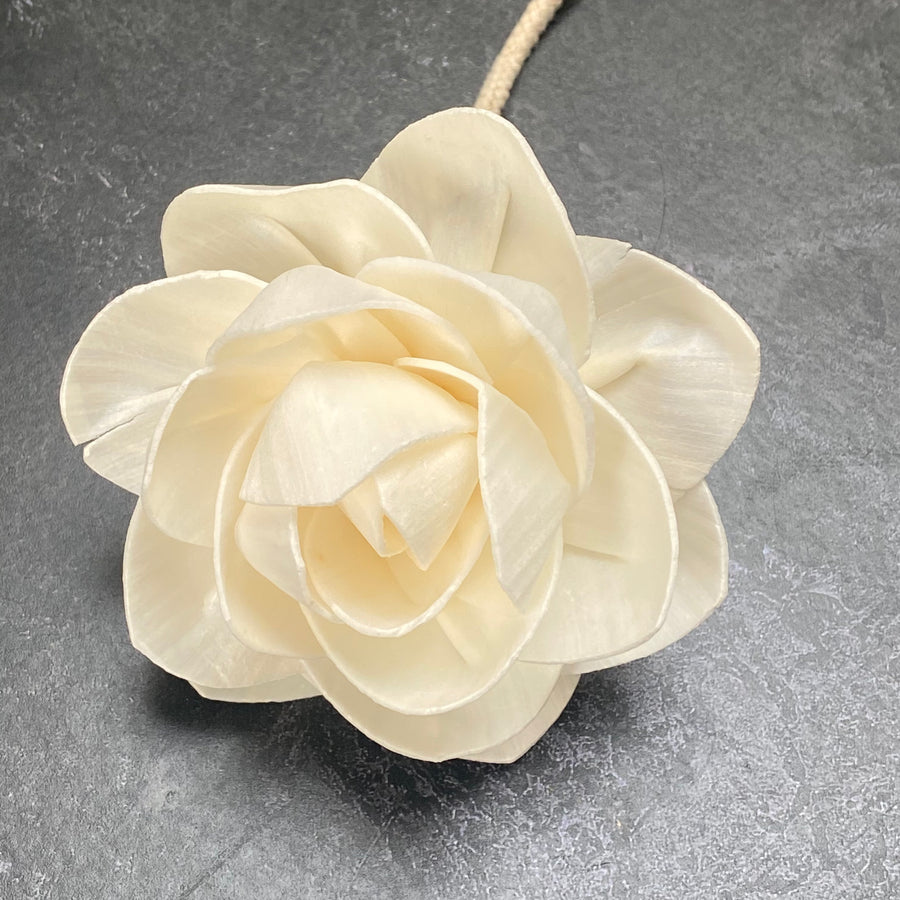 DIFFUSER FLOWERS | MEDIUM 8cm