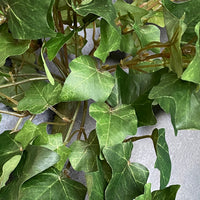 FAUX GREEN TRAILING IVY VINE