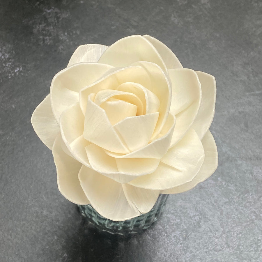 DIFFUSER FLOWERS | MEDIUM 8cm