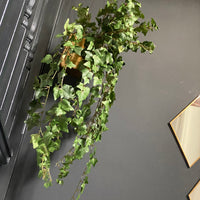 FAUX GREEN TRAILING IVY VINE