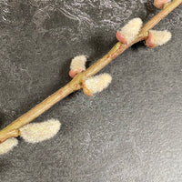 FAUX PUSSY WILLOW TALL SINGLE