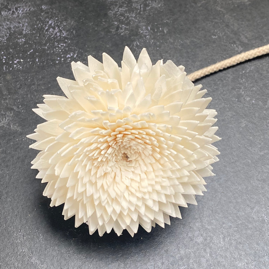 DIFFUSER FLOWERS | MEDIUM 8cm