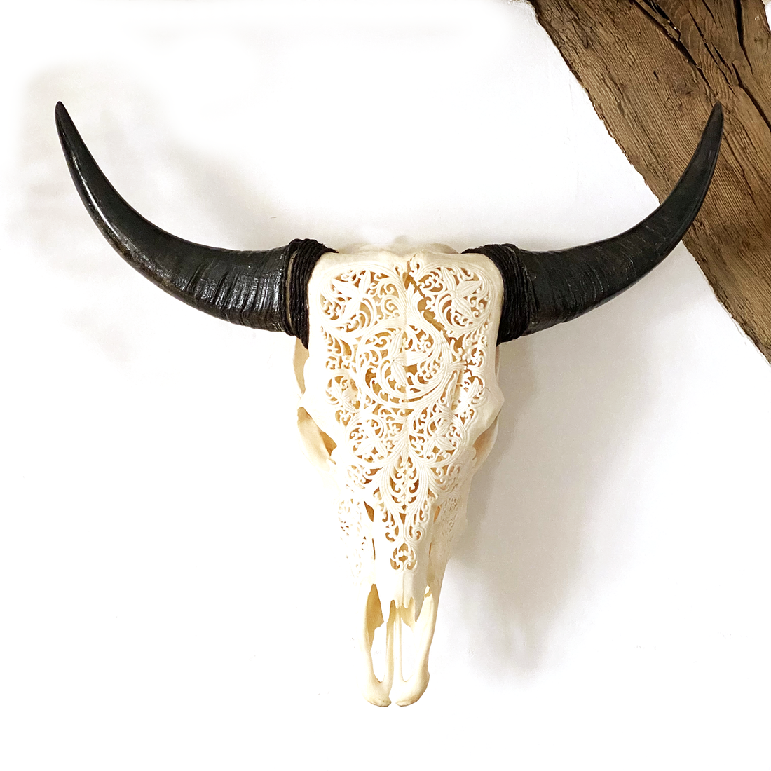 CARVED COW SKULL | LEAF DESIGN