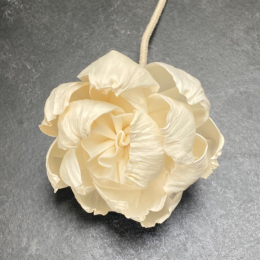 DIFFUSER FLOWERS | MEDIUM 8cm