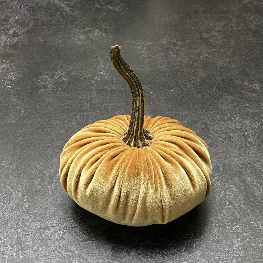 XSMALL VELVET DECORATIVE PUMPKIN